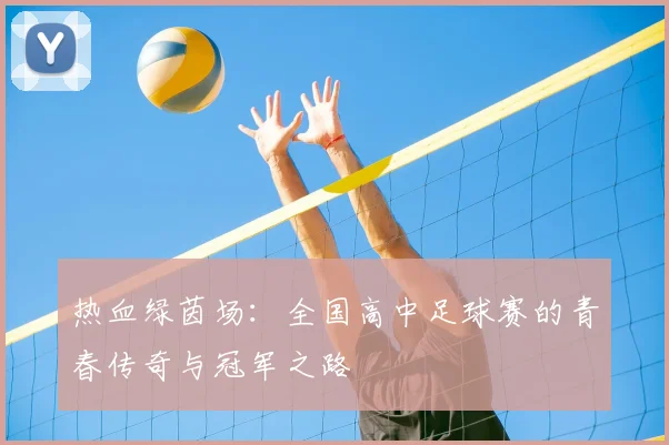热血绿茵场:全国高中足球赛的青春传奇与冠军之路