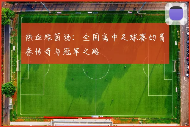 热血绿茵场：全国高中足球赛的青春传奇与冠军之路